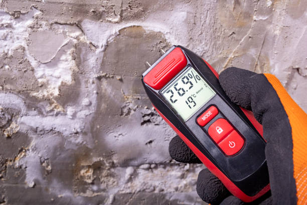 Best Health and Safety Mold Remediation in Glen Ellyn, IL