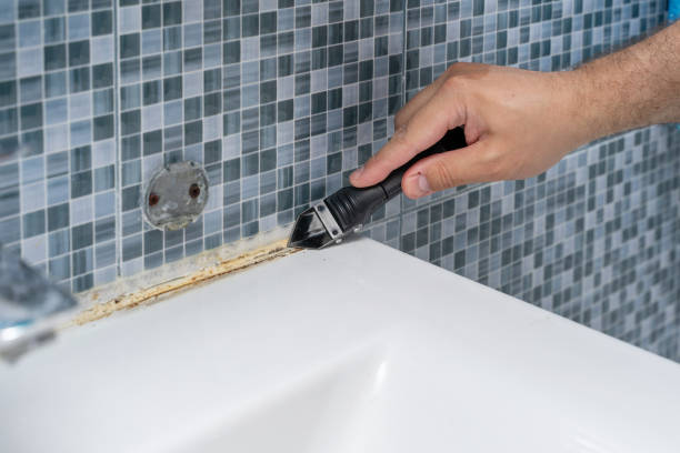 Best Industrial Mold Remediation in Glen Ellyn, IL